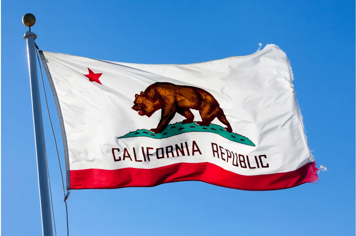 Financial Assistance options for getting an IID in California